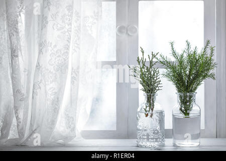 Tanne Niederlassung in Vase in der Nähe der Fenster. Weihnachten Dekoration Stockfoto