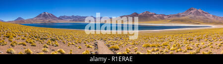 Miscanti Lagune bei Desierto de Atacama (Atacama Wüste) an Chilenische Altiplano, mitten in den Anden. Mit Miñique Lagune sind die Lagunen Altiplanicas Stockfoto