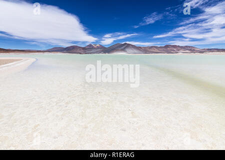 Der erstaunliche Alar de Piedras Rojas" (rote Steine Salzsee) in der Atacama-wüste in Chile in den Anden, eine erstaunliche und bunte Landschaft in Chile Stockfoto