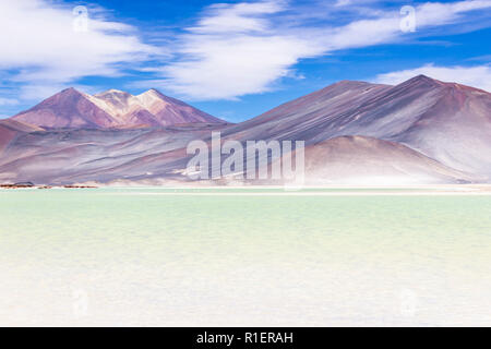 Der erstaunliche Alar de Piedras Rojas" (rote Steine Salzsee) in der Atacama-wüste in Chile in den Anden, eine erstaunliche und bunte Landschaft in Chile Stockfoto