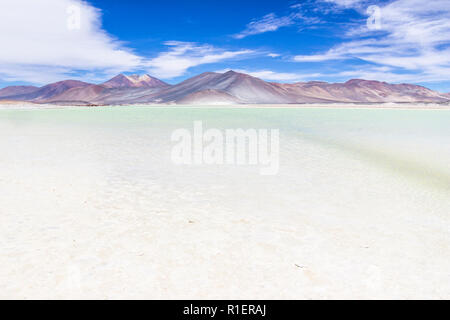 Der erstaunliche Alar de Piedras Rojas" (rote Steine Salzsee) in der Atacama-wüste in Chile in den Anden, eine erstaunliche und bunte Landschaft in Chile Stockfoto