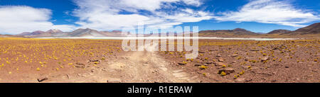 Der erstaunliche Alar de Piedras Rojas" (rote Steine Salzsee) in der Atacama-wüste in Chile in den Anden, eine erstaunliche und bunte Landschaft in Chile Stockfoto