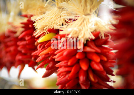 Händler verkaufen Hand aufgereiht red chili ristas zum Kochen und als Souvenirs in Santa Fe, NM, USA Stockfoto