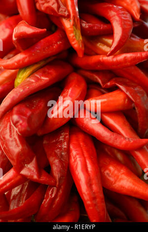 In der Nähe von hellen roten Chili peppers zusammen aufgereiht, genannt ristras, gemeinsame zur Südwestlichen und Mexikanische Küche Stockfoto