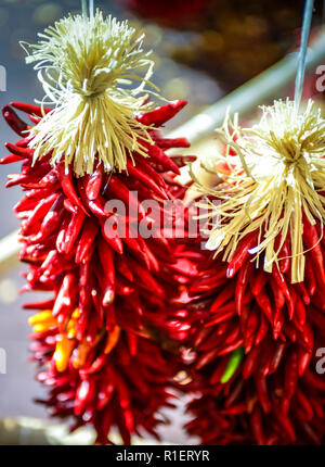 Händler verkaufen Hand aufgereiht red chili ristras zum Kochen und als Souvenirs in Santa Fe, NM, USA Stockfoto