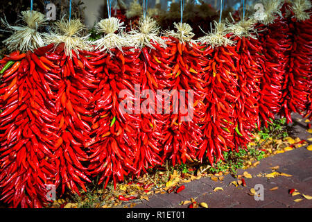 In der Nähe von hellen roten Chili peppers zusammen aufgereiht, genannt ristras, gemeinsame zur Südwestlichen und Mexikanische Küche Stockfoto