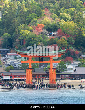 Die itsukushima schwimmende Torii Tor vor der Küste der Insel Miyajima, Hiroshima, Japan. Stockfoto