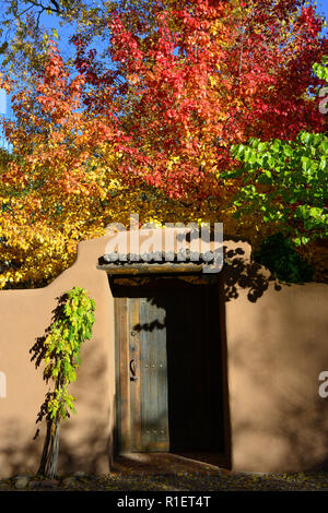 Herbst Bäume mit roten und gelben Blätter in einen Innenhof mit einem charmanten adobe Wand- und Vintage Holztür in Downtown Viertel in Santa Fe, NM Stockfoto