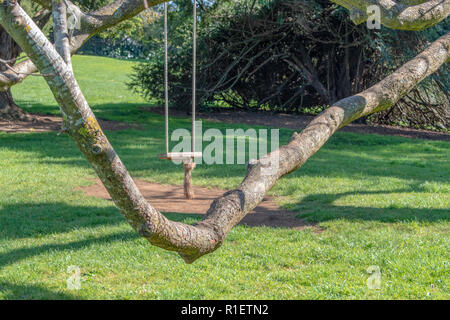 Alte Schaukel hängt noch in den öffentlichen Park unter grünen Bäumen und einem gekrümmten langen Ast Stockfoto