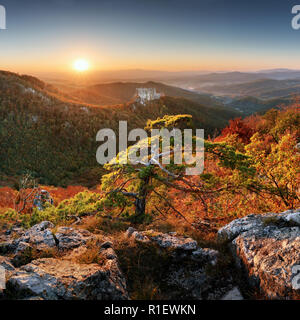 Berg Herbst Landschaft mit bunten Wald und Burg Uhrovec, Slowakei Stockfoto