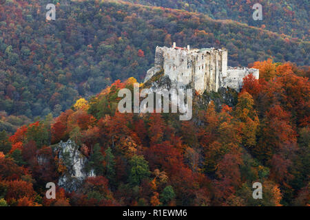 Berg Herbst Landschaft mit bunten Wald und Burg Uhrovec, Slowakei Stockfoto