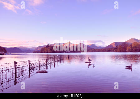 Einen schönen Sonnenaufgang an Derwentwater in Richtung Derwent Isle und Catbells, Lake District, England, UK suchen Stockfoto