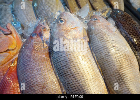 Frische Fische auf dem Markt. Stockfoto