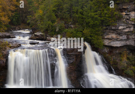 Blackwater Falls State Park in West Virginia USA Stockfoto