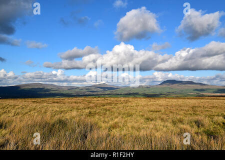 Whernside und Ingleborough Hügel Stockfoto