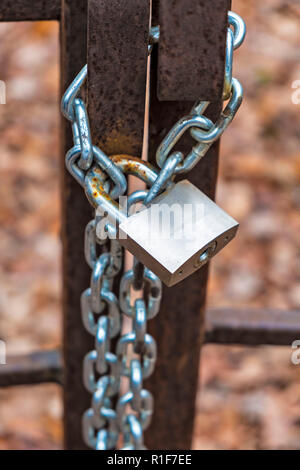 Metall silber Vorhängeschloss auf ein Bügeleisen vintage Tor und einer Kette gesichert, mit rotem Herbstlaub im Hintergrund. Stockfoto