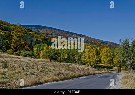 Farbenprächtige Herbstlandschaft von Straßen-, Nadel- und Laubwald mit Glade in den Vitosha Berg, Bulgarien Stockfoto