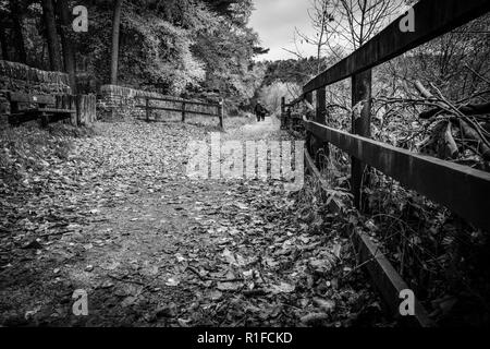 Herbstliche Szenen am Ogden Wasser Naturschutzgebiet, Halifax, Großbritannien Stockfoto