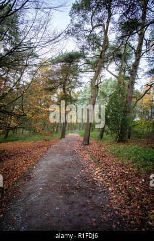 Herbstliche Szenen am Ogden Wasser Naturschutzgebiet, Halifax, Großbritannien Stockfoto