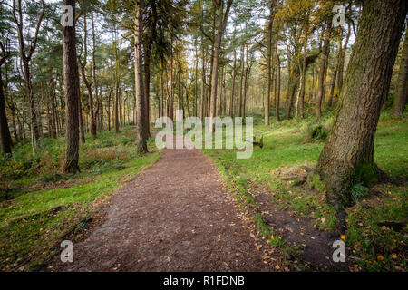 Herbstliche Szenen am Ogden Wasser Naturschutzgebiet, Halifax, Großbritannien Stockfoto