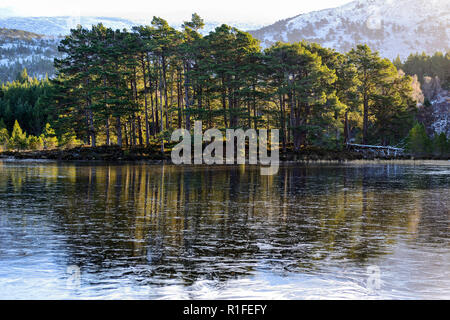 Über Loch ein Eilein im Winter gefroren, Rothiemurchus Estate, in der Nähe von Aviemore, Hochland, Schottland Stockfoto