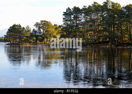 Über Loch ein Eilein im Winter gefroren, Rothiemurchus Estate, in der Nähe von Aviemore, Hochland, Schottland Stockfoto