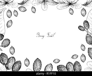 Beerenfrüchte, Illustration von Hand gezeichnete Skizze Jambolan, Java Pflaume, schwarze Pflaume oder Syzygium Cumini und Japanische Barberies oder Berberis thunbergii Stock Vektor