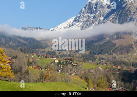 Grindelwald Dorf im Berner Alpen, Schweiz Stockfoto