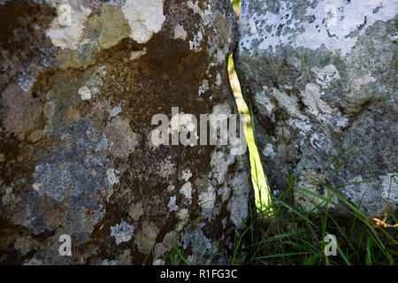 Gebäude aus Stein bleibt bei Chysauster Ancient Eisenzeit Dorf, in der Nähe von Penzance, Cornwall, England Stockfoto