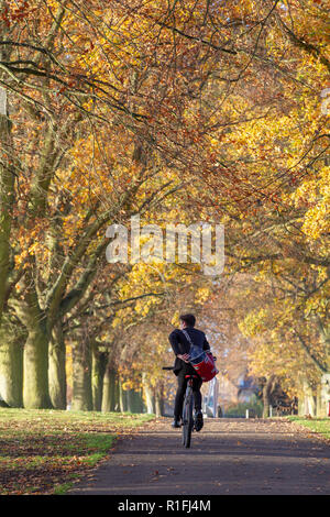 Northampton, Großbritannien. 12. November 2018. Wetter UKA kop Reiten seines Fahrrades bis die Allee der Bäume in die Schule ein leichter Nebel und Sonnenschein, der die Farben des Herbstes in Abington Park Credit: Keith J Smith./Alamy leben Nachrichten Stockfoto