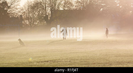 Northampton, Großbritannien. 12. November 2018. Wetter. Menschen, die ihre Hunde am frühen Morgen mit einer leichten Autunmal Boden Nebel und Sonnenschein, der die Farben des Herbstes in Abington Park Credit: Keith J Smith./Alamy leben Nachrichten Stockfoto