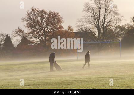 Northampton, Großbritannien. 12. November 2018. Wetter. Menschen, die ihre Hunde am frühen Morgen mit einer leichten Autunmal Boden Nebel und Sonnenschein, der die Farben des Herbstes in Abington Park Credit: Keith J Smith./Alamy leben Nachrichten Stockfoto