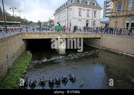 Rochdale, Lancashire, UK. 12. November 2018. Der Nordwesten der Polizei unter Wasser suchen und Marine Einheit sind die Durchführung einer Suche des Flusses Roche in Rochdale Stadtzentrum. Derzeit liegen keine Informationen freigegeben worden, was darauf hindeutet, was Sie suchen. Rochdale, Großbritannien, 12. November 2018 (C) Barbara Cook/Alamy leben Nachrichten Stockfoto