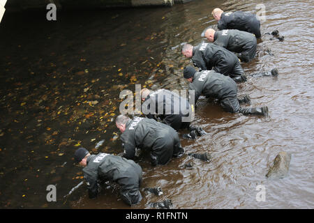 Rochdale, Lancashire, UK. 12. November 2018. Der Nordwesten der Polizei unter Wasser suchen und Marine Einheit sind die Durchführung einer Suche des Flusses Roche in Rochdale Stadtzentrum. Derzeit liegen keine Informationen freigegeben worden, was darauf hindeutet, was Sie suchen. Rochdale, Großbritannien, 12. November 2018 (C) Barbara Cook/Alamy leben Nachrichten Stockfoto