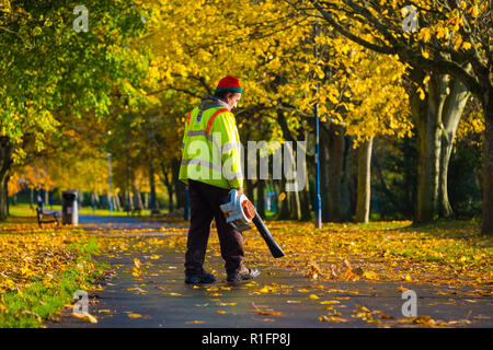 Aberystwyth, Wales, UK. 12. November 2018. UK Wetter: Eine lokale Behörde Grafschaftsrat Ceredigion Arbeitnehmer mit einem laubbläser hat das scheinbar endlose Aufgabe der blasen die gefallenen Blätter im Herbst aus den Wanderwegen hinunter Plascrug Avenue pocket Park in Aberystwyth, zu helfen, ist für Fußgänger sicher zu machen, und die Kinder, wenn Sie spazieren gehen und Rad Foto zur Schule: Keith Morris/Alamy leben Nachrichten Stockfoto