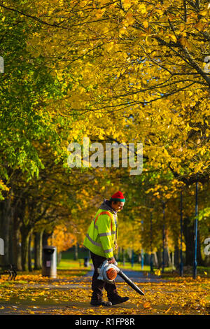 Aberystwyth, Wales, UK. 12. November 2018. UK Wetter: Eine lokale Behörde Grafschaftsrat Ceredigion Arbeitnehmer mit einem laubbläser hat das scheinbar endlose Aufgabe der blasen die gefallenen Blätter im Herbst aus den Wanderwegen hinunter Plascrug Avenue pocket Park in Aberystwyth, zu helfen, ist für Fußgänger sicher zu machen, und die Kinder, wenn Sie spazieren gehen und Rad Foto zur Schule: Keith Morris/Alamy leben Nachrichten Stockfoto