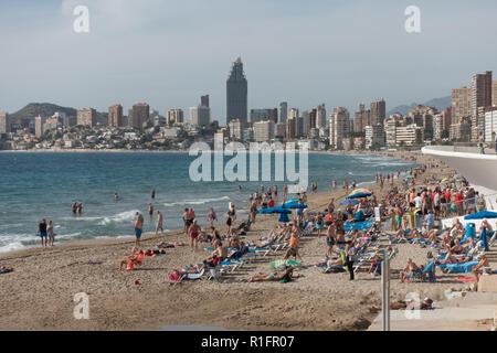 Benidorm, Costa Blanca, Spanien 12. November 2018. Schnee vogel Urlauber genießen Sie die Wintersonne in Spanien mit Tagestemperaturen in der Mitte 20 Celsius bringt große Menschenmengen auf den Strand, wo Sie an organisierten Kurse nehmen können oder einfach nur Entspannen und Sonnenbaden. Credit: Mick Flynn/Alamy leben Nachrichten Stockfoto