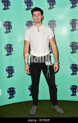 London, Großbritannien. 12. November 2018. Sam Retford nehmen an der Diana Award Anti-mobbing-Woche im Alexandra Palace am 12. November 2018, London, UK. Bild Capital/Alamy leben Nachrichten Stockfoto