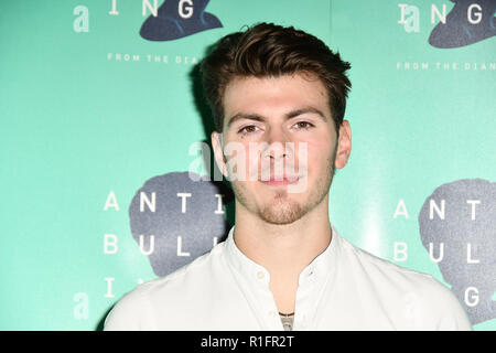 London, Großbritannien. 12. November 2018. Sam Retford nehmen an der Diana Award Anti-mobbing-Woche im Alexandra Palace am 12. November 2018, London, UK. Bild Capital/Alamy leben Nachrichten Stockfoto