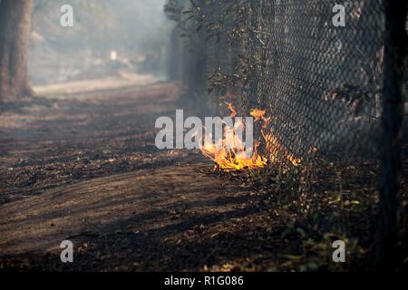 Simi Valley, Kalifornien, USA. 12 Nov, 2018. Flammen unter einem Zaun in Simi Valley. Quelle: Chris Rusanowsky/ZUMA Draht/Alamy leben Nachrichten Stockfoto