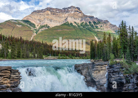 Athabasca Falls in Jasper National Park, Alberta, Kanada Stockfoto