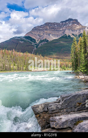 Athabasca Falls in Jasper National Park, Alberta, Kanada Stockfoto