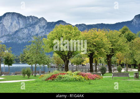 Helle Farben der Blumen und Pflanzen am Ufer des Attersees an bewölkten Tag Anfang Herbst. Stockfoto