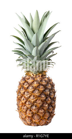 Ananas, isoliert auf weiss Stockfoto