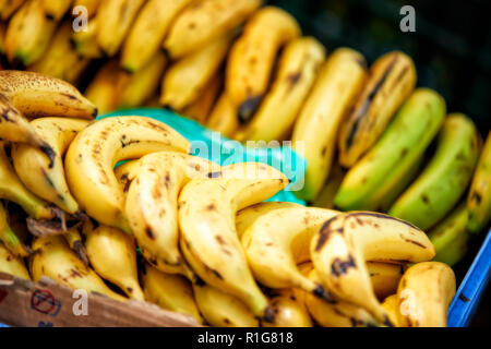 Bananen, Panama City, Republik Panama, Mittelamerika, Nordamerika Stockfoto