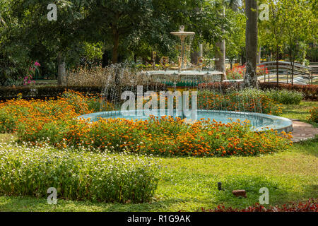 Garten in Mysore Zoo, Mysore, Karnataka, Indien Stockfoto