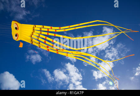 FUERTEVENTURA, SPANIEN - 10. NOVEMBER: Besucher genießen abeautiful Anzeige Drachen steigen von 31 International Kite Festival, 10. November 2018 in der Natur Stockfoto