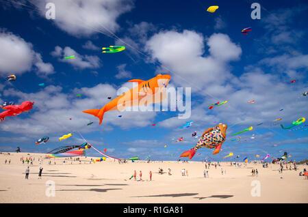 FUERTEVENTURA, SPANIEN - 10. NOVEMBER: Besucher genießen abeautiful Anzeige Drachen steigen von 31 International Kite Festival, 10. November 2018 in der Natur Stockfoto