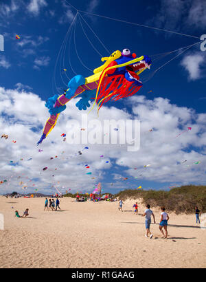 FUERTEVENTURA, SPANIEN - 10. NOVEMBER: Besucher genießen Sie schöne Anzeige der Drachen steigen von 31 International Kite Festival, 10. November 2018 im Nat Stockfoto