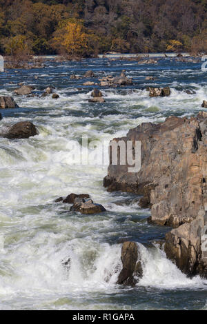Der Great Falls entlang des Potomac River in Virginia, USA Stockfoto